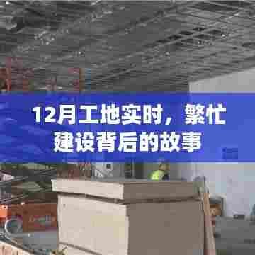 揭秘工地繁忙背后的故事,12月实时建设进展