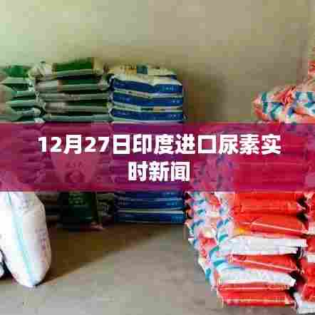 印度进口尿素最新动态,12月27日实时新闻更新