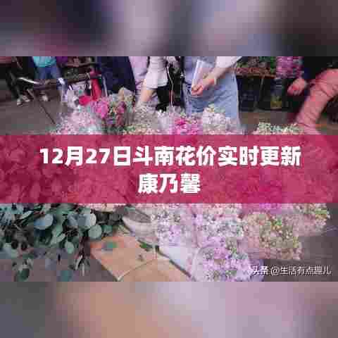 斗南花价最新更新,康乃馨实时价格 12月27日