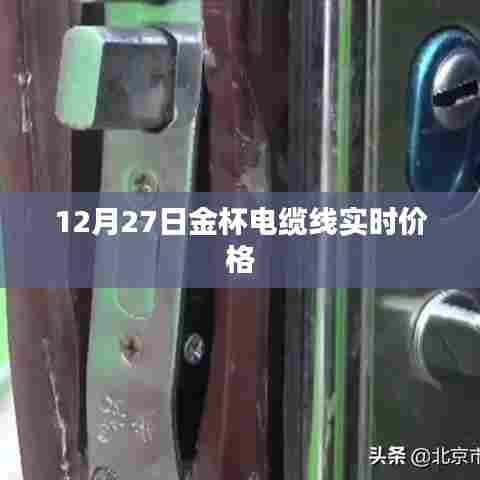 金杯电缆线最新实时价格（12月27日）