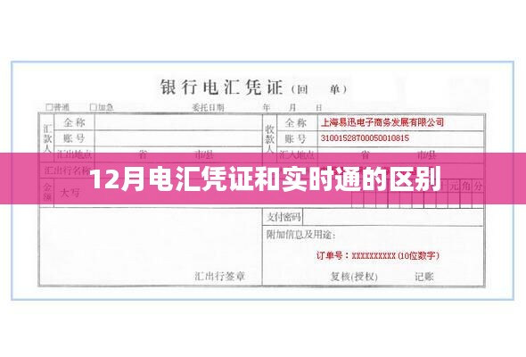 腾龙换鸟 第3页