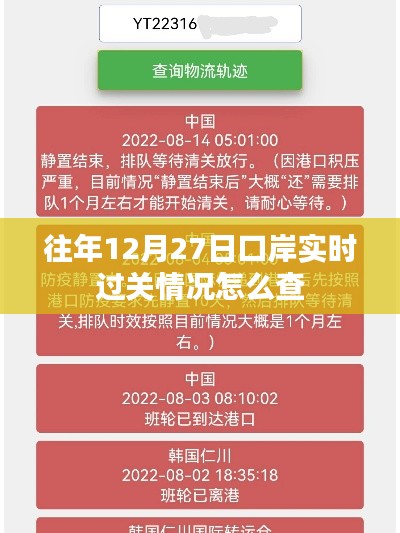 口岸实时过关情况查询攻略,往年12月27日数据解析