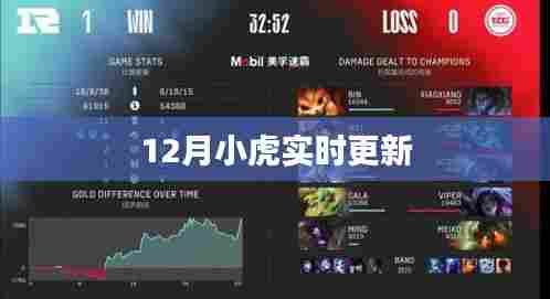 12月小虎最新动态实时更新
