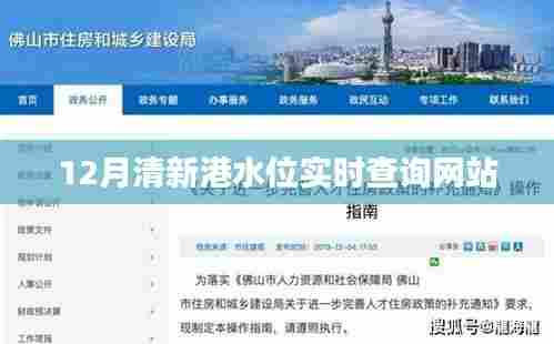 清新港实时水位查询系统,最新数据在线查看