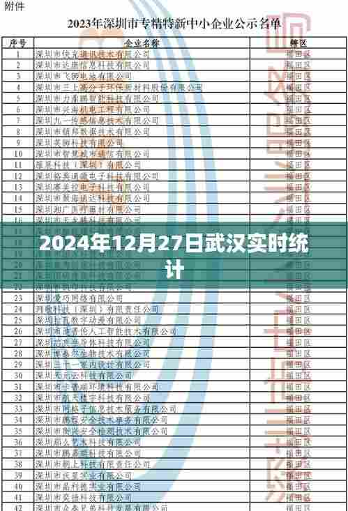 武汉实时统计，2024年12月27日数据报告