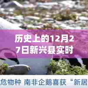 新兴县历史温度记录，12月27日实时温度概览