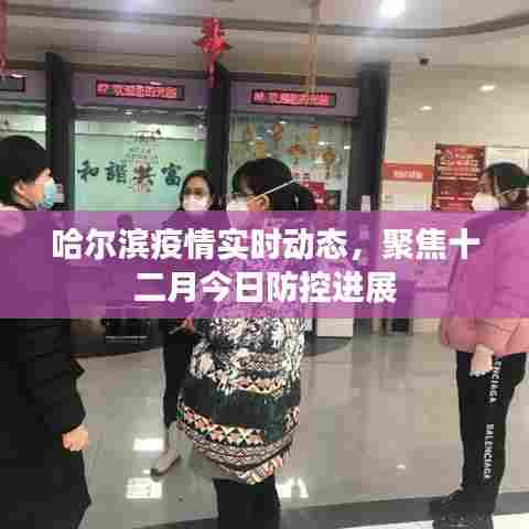 哈尔滨疫情最新动态,十二月防控进展聚焦