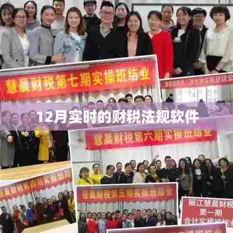 实时财税法规软件更新解读,12月最新动态