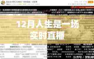 人生直播,12月的实时记录