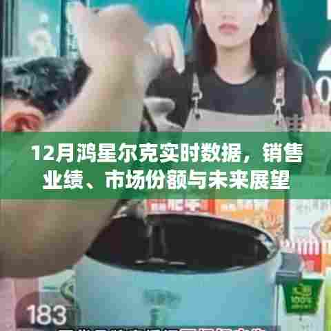 鸿星尔克十二月业绩概览,销售数据、市场份额及未来展望