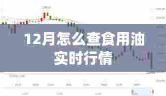 12月食用油实时行情查询指南