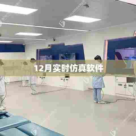 实时仿真软件,12月应用体验报告