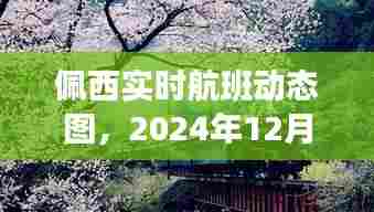 佩西航班动态图,2024年12月27日空中之旅实时更新