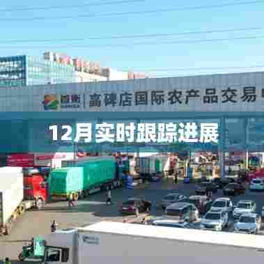 12月最新进展实时跟踪报告