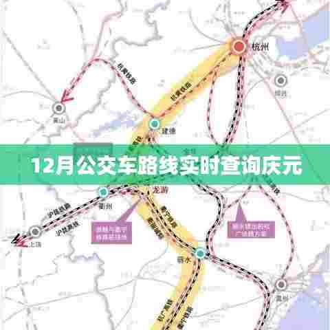 庆元公交实时查询系统,12月最新路线查询