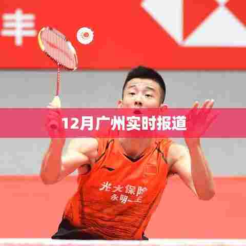 广州最新实时报道,十二月动态