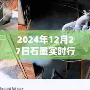石墨行情分析图,实时动态,洞悉未来市场趋势