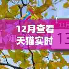 天猫十二月实时交易额数据观察