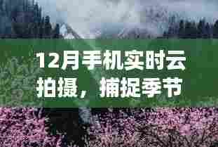 12月手机云拍摄，捕捉季节之美的实时方式
