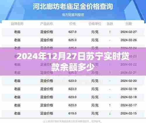 苏宁实时贷款余额数据(截至2024年12月27日)