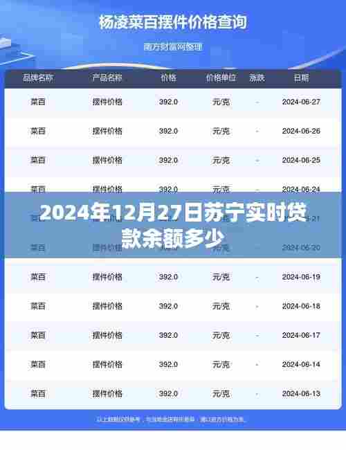 苏宁实时贷款余额数据(截至2024年12月27日)