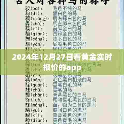 黄金实时报价APP，掌握最新黄金行情