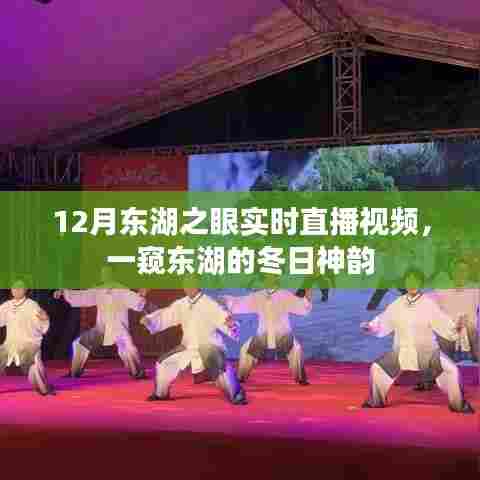 东湖之眼冬令时节直播,探寻冬日神韵