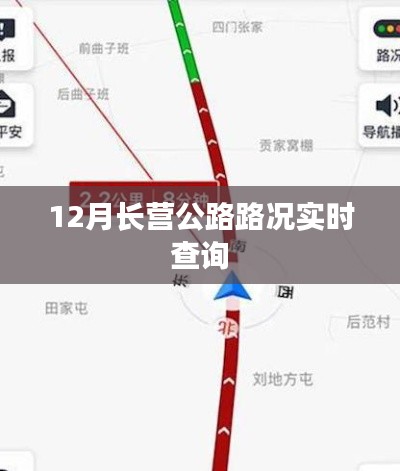 鸿飞雪爪 第3页