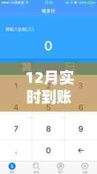 12月实时到账支付方式揭秘