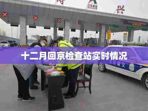 质而不俚 第3页