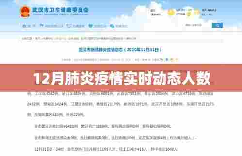 肺炎疫情实时动态人数报告,最新数据发布
