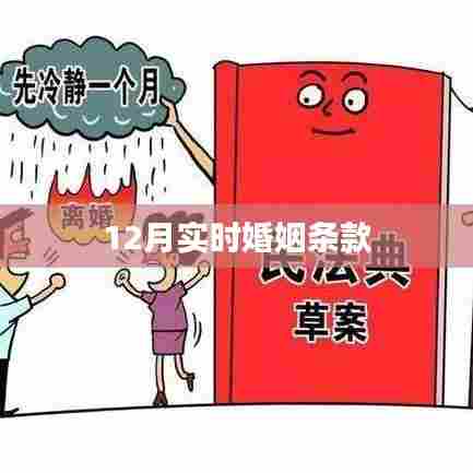 婚姻条款实时更新解读