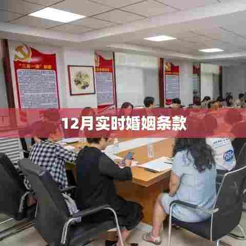 婚姻条款实时更新解读