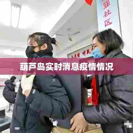 葫芦岛最新疫情实时消息更新