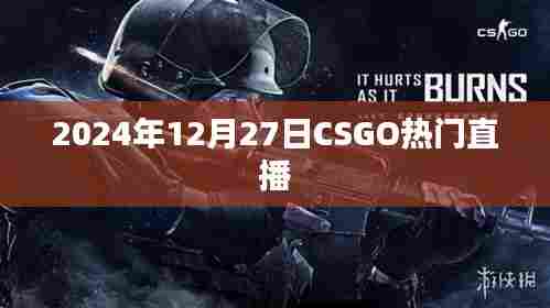 2024年CSGO直播热潮,热门直播回顾与展望