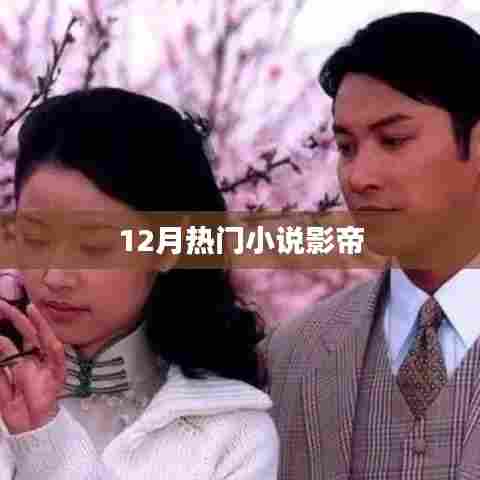 12月必读热门小说,影帝传奇故事