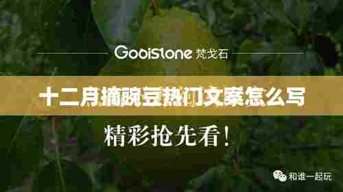 十二月摘豌豆,丰收喜悦分享