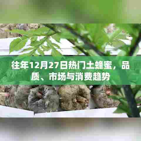 往年12月热门土蜂蜜,品质与市场消费趋势分析