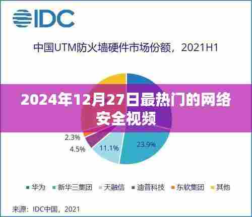 2024年网络安全热点解析，最新热门视频