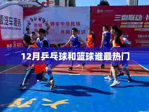 乒乓球与篮球的热门对决,十二月谁领先?