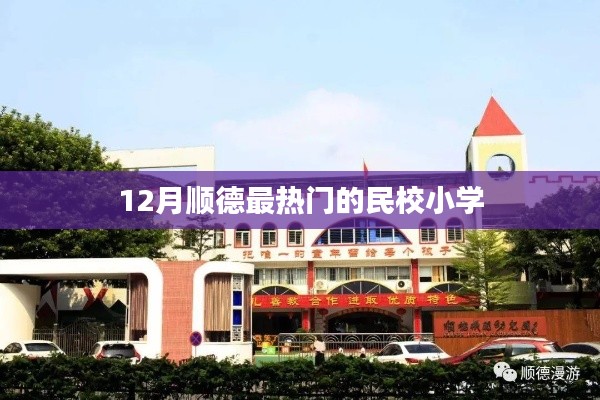 顺德民校小学热点盘点,12月最受瞩目