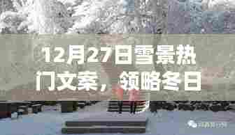 领略冬日雪景之美,热门文案欣赏,12月27日雪韵如画
