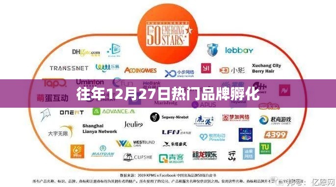 往年12月27日品牌孵化盛况