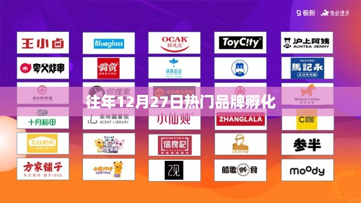 往年12月27日品牌孵化盛况