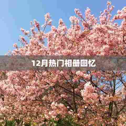 时光印记,12月珍藏相册回忆