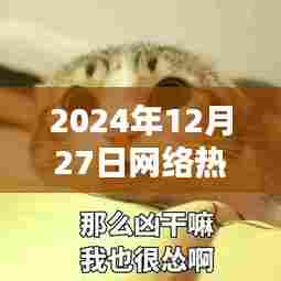 2024年超火猫咪表情图,全网热传!