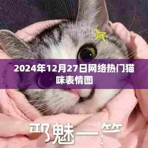2024年超火猫咪表情图,全网热传!