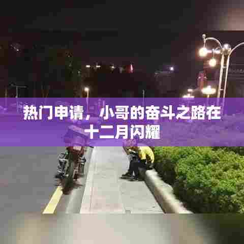 飞箭如蝗 第3页