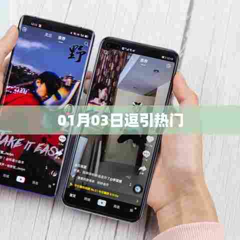 逗引热门事件揭秘，最新动态一网打尽（日期，01月03日）