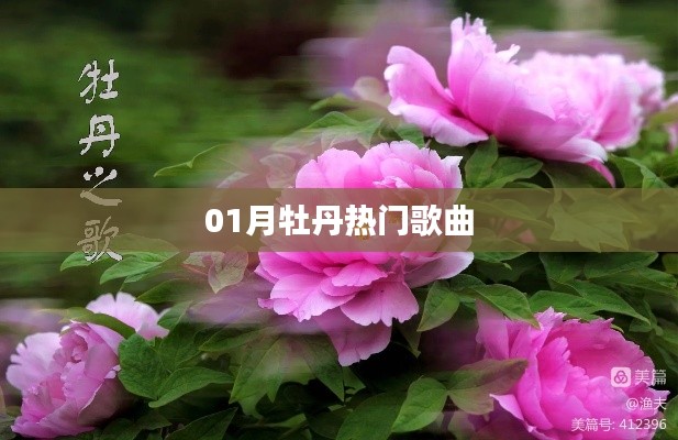 牡丹之歌,一月热门歌曲盘点